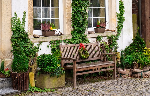 Trellises: Vertical Elegance for Climbing Plants